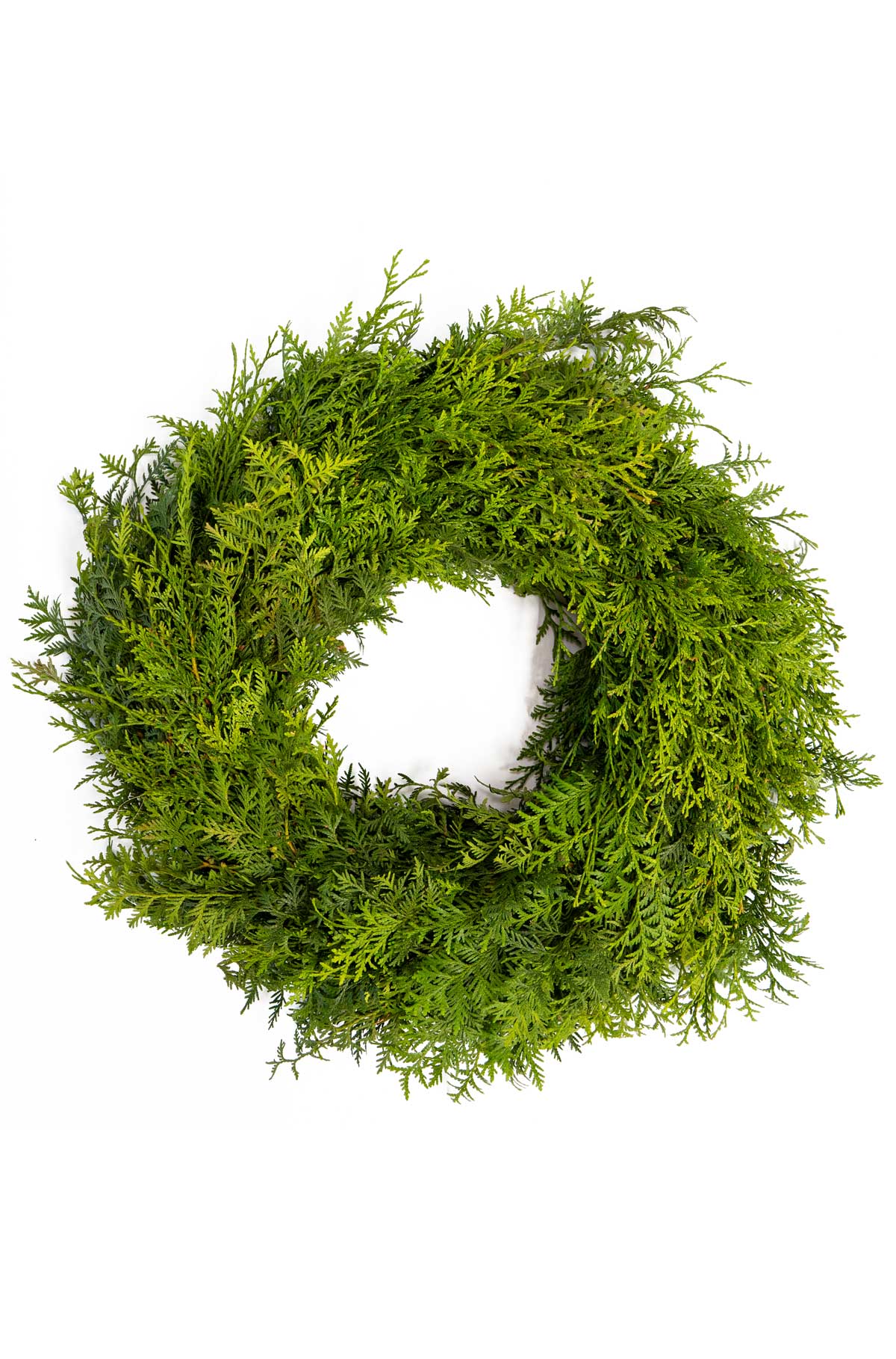 Tannenkranz - Tellerkranz Thuja - Dekokranz - Adventskranz - einseitig gebunden