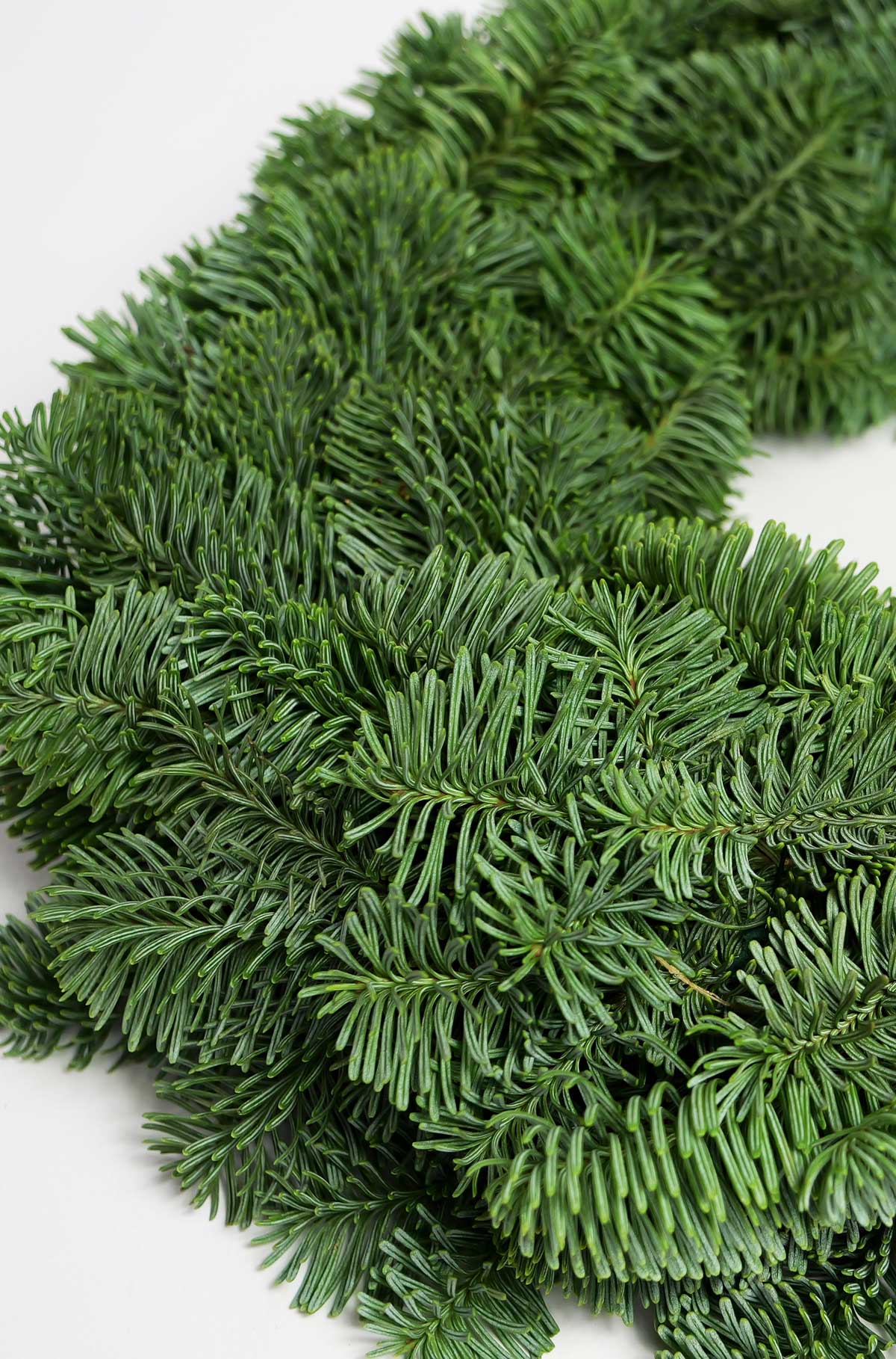 Tannenkranz Tellerkranz Nobilis Adventskranz echt natürlich