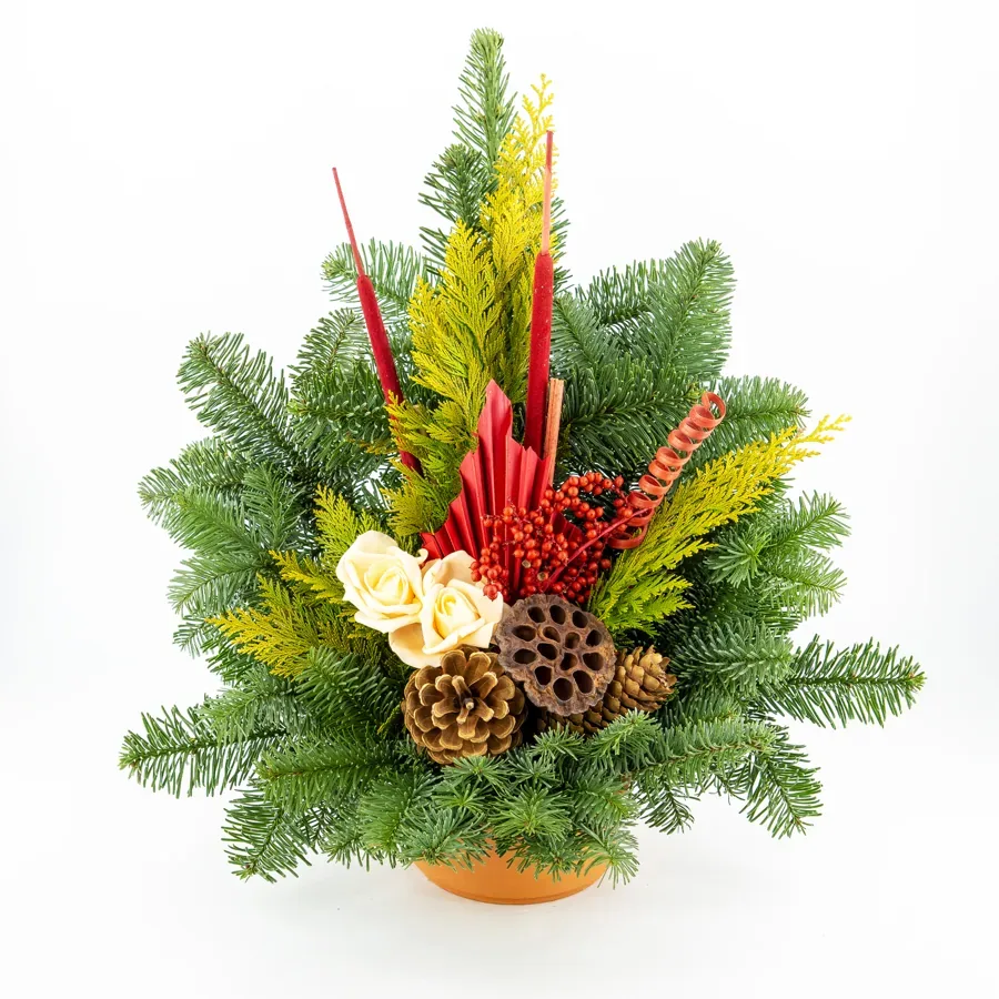Z-Schale orange, 3 Rosen H 45cm Z-Schale: Durchmesser 13cm